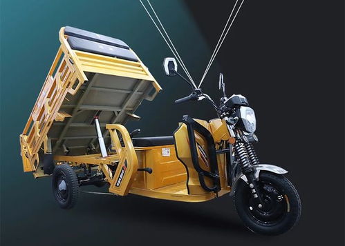 淮海天將160a電動(dòng)三輪車評測 動(dòng)力足、載重高，一次能裝1000斤，人力三輪車組裝
